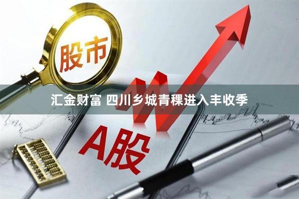 汇金财富 四川乡城青稞进入丰收季