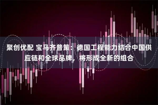 聚创优配 宝马齐普策：德国工程能力结合中国供应链和全球品牌，将形成全新的组合