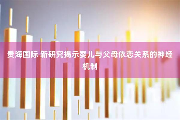 贵海国际 新研究揭示婴儿与父母依恋关系的神经机制