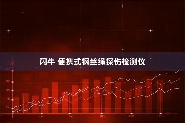 闪牛 便携式钢丝绳探伤检测仪